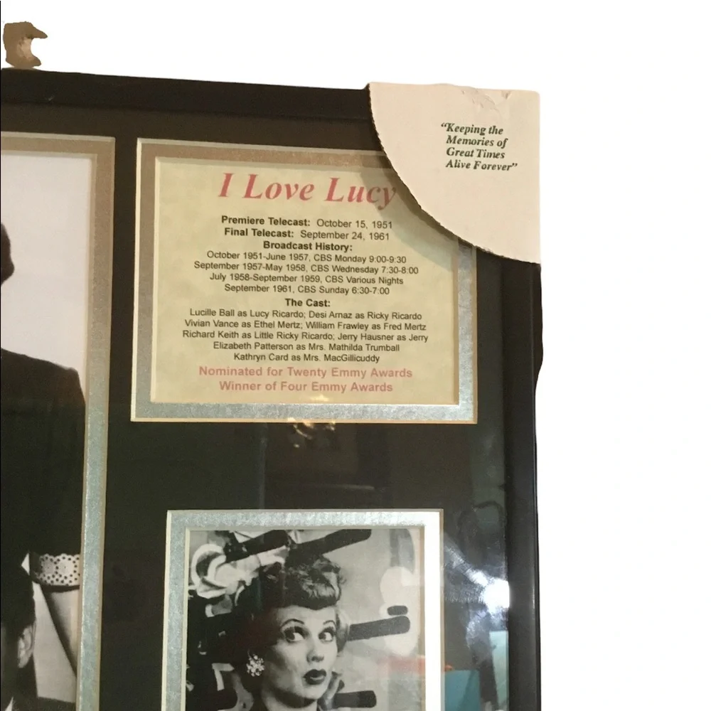 ❤️💕 I Love 💗 Lucy Framed Art ❤️💕